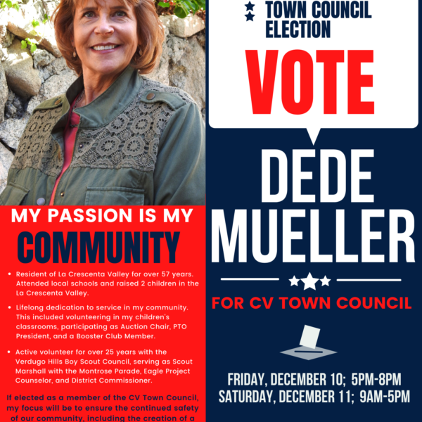 Dede Campaign Poster
